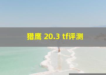 猎鹰 20.3 tf评测